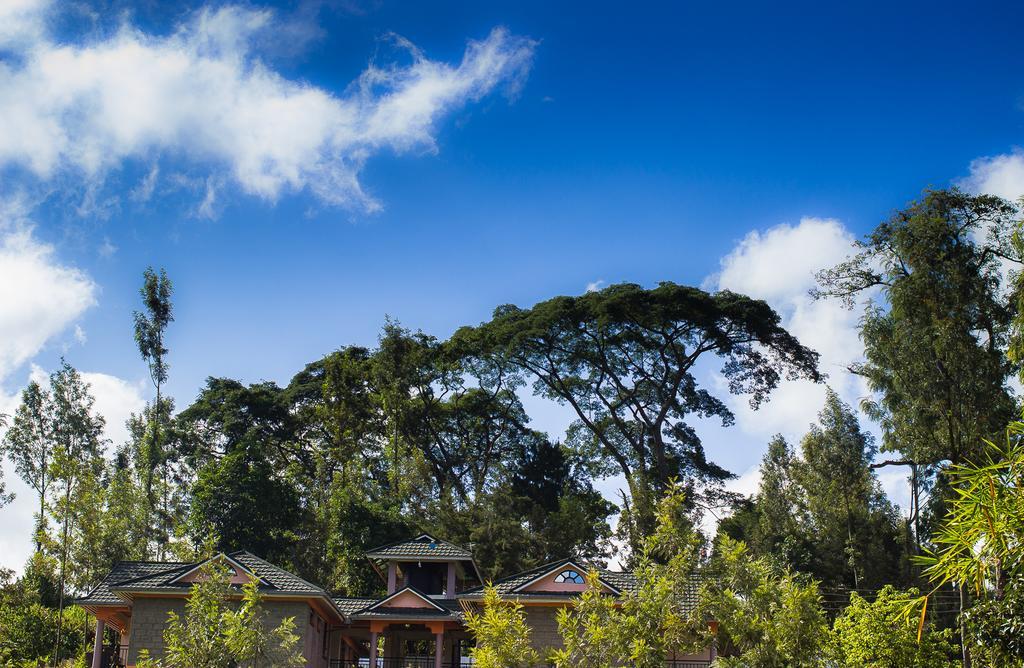 Kuniville Guest House ニエリ エクステリア 写真