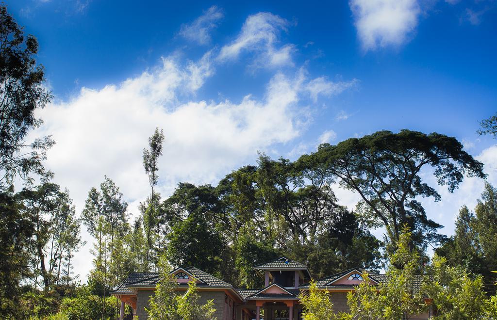 Kuniville Guest House ニエリ エクステリア 写真